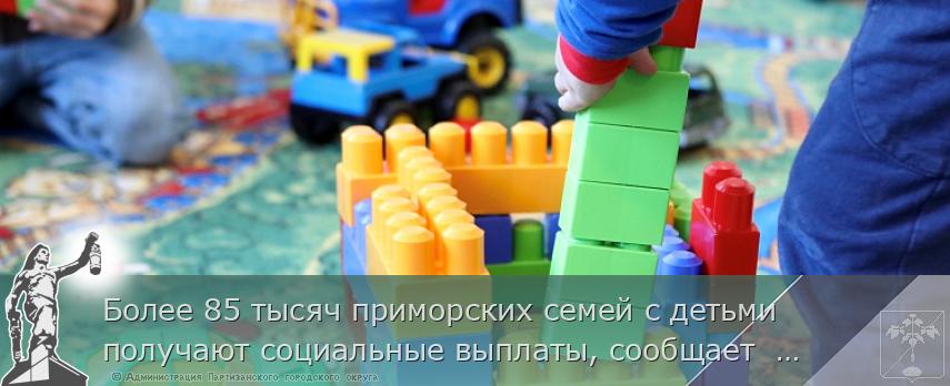 Более 85 тысяч приморских семей с детьми получают социальные выплаты, сообщает  www.primorsky.ru