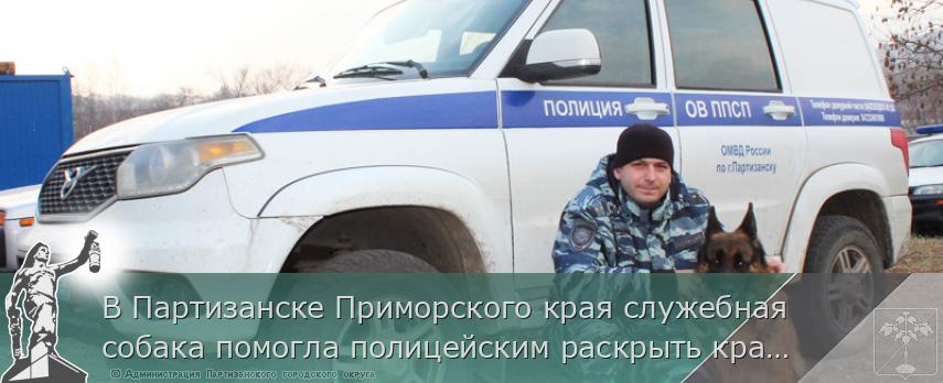 В Партизанске Приморского края служебная собака помогла полицейским раскрыть кражу